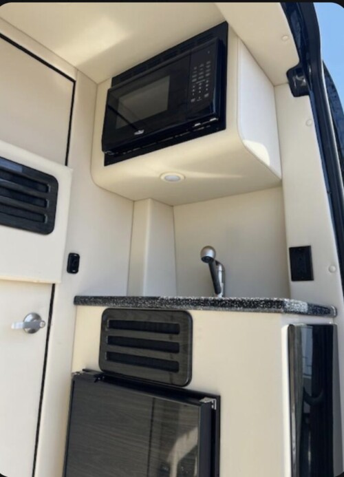 2021 Mercedes Luxe Midwest Automotive Designs Van D-6, 18K Miles, Pristine - Image 16