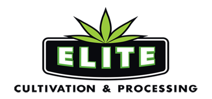 Elite Cultivation